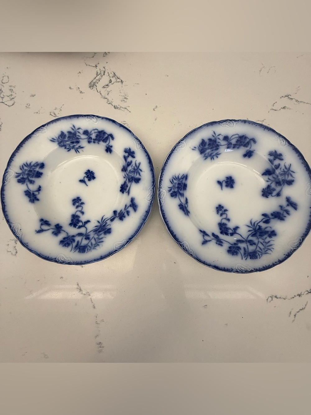 (2) Flow Blue Dinner Plates~Nonpareil Pattern Vintage J&G Meakin